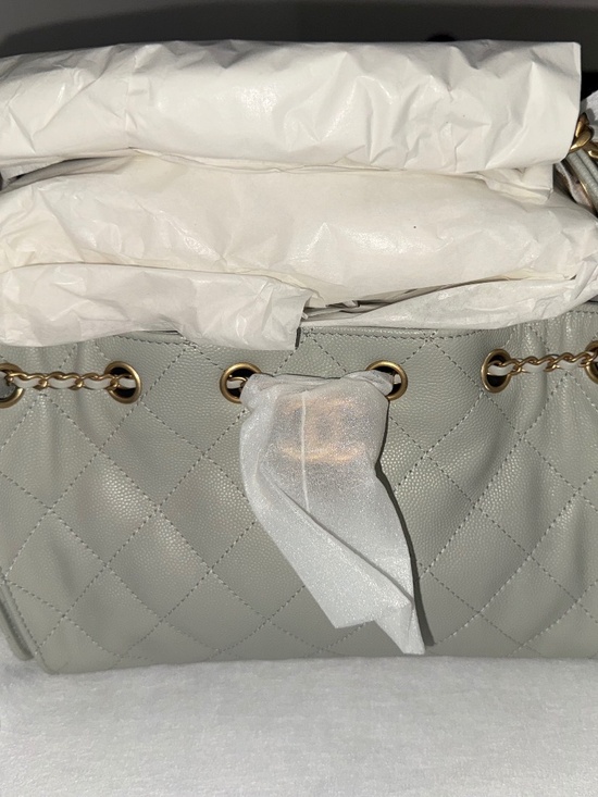 CHANEL Handbags - **BRAND NEW** CHANEL 25 MINI **RARE**